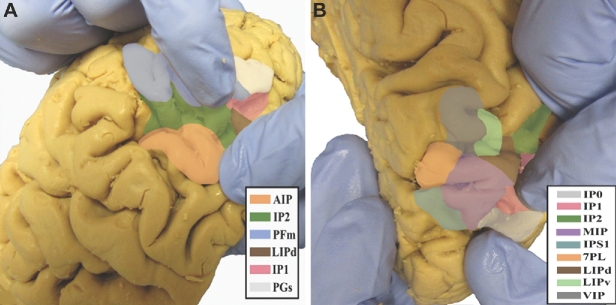 FIGURE 23.