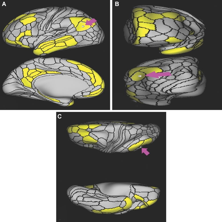 FIGURE 13.