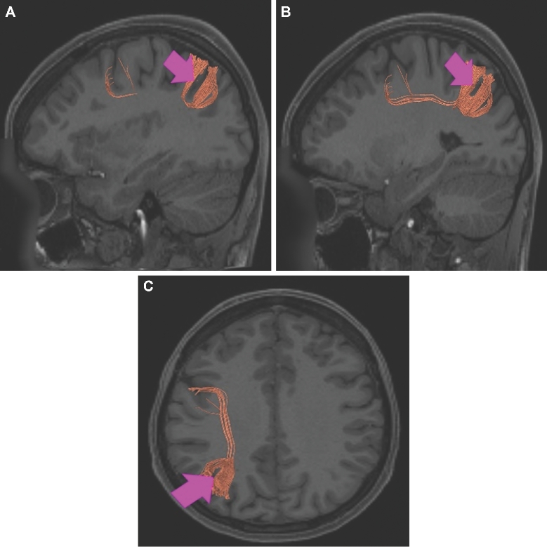 FIGURE 36.