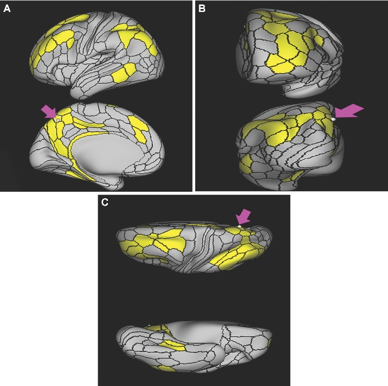 FIGURE 51.