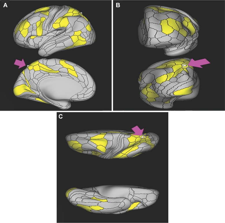 FIGURE 49.