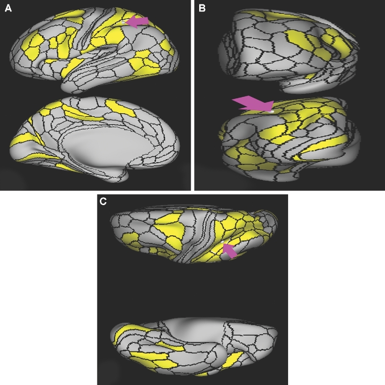 FIGURE 33.