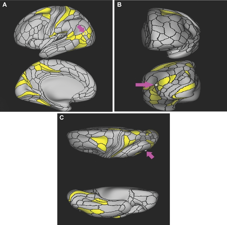 FIGURE 21.