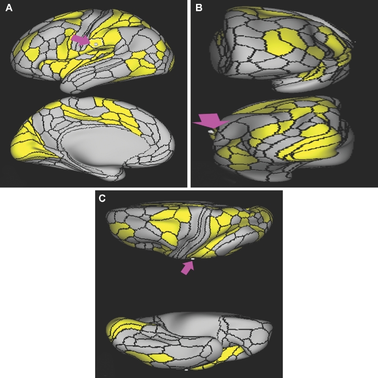 FIGURE 3.