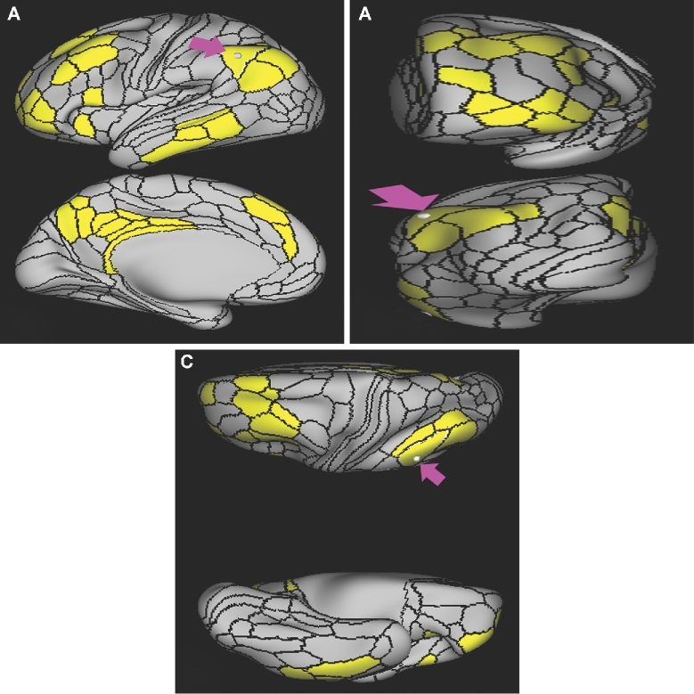 FIGURE 9.