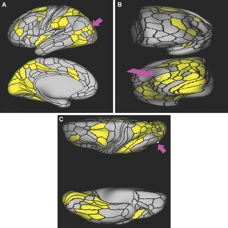 FIGURE 15.