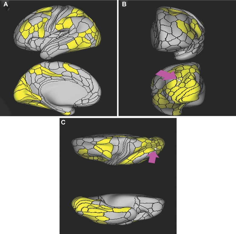 FIGURE 29.