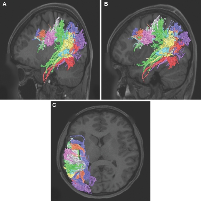 FIGURE 2.