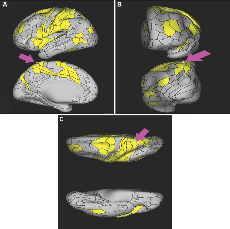 FIGURE 45.