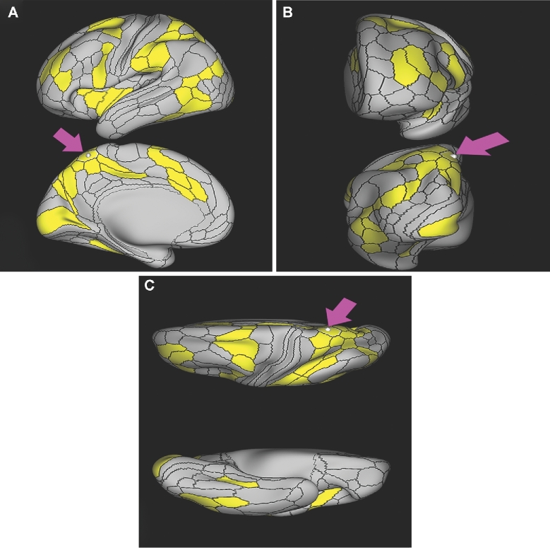 FIGURE 47.