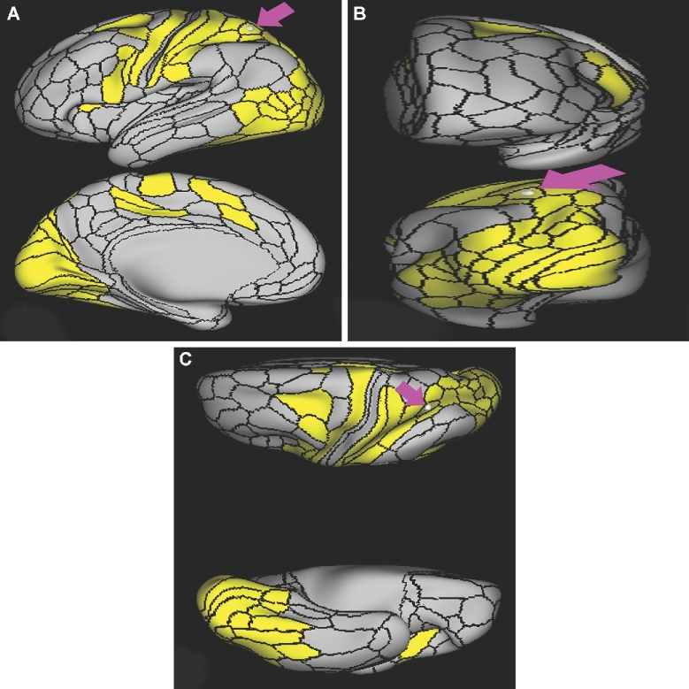 FIGURE 37.