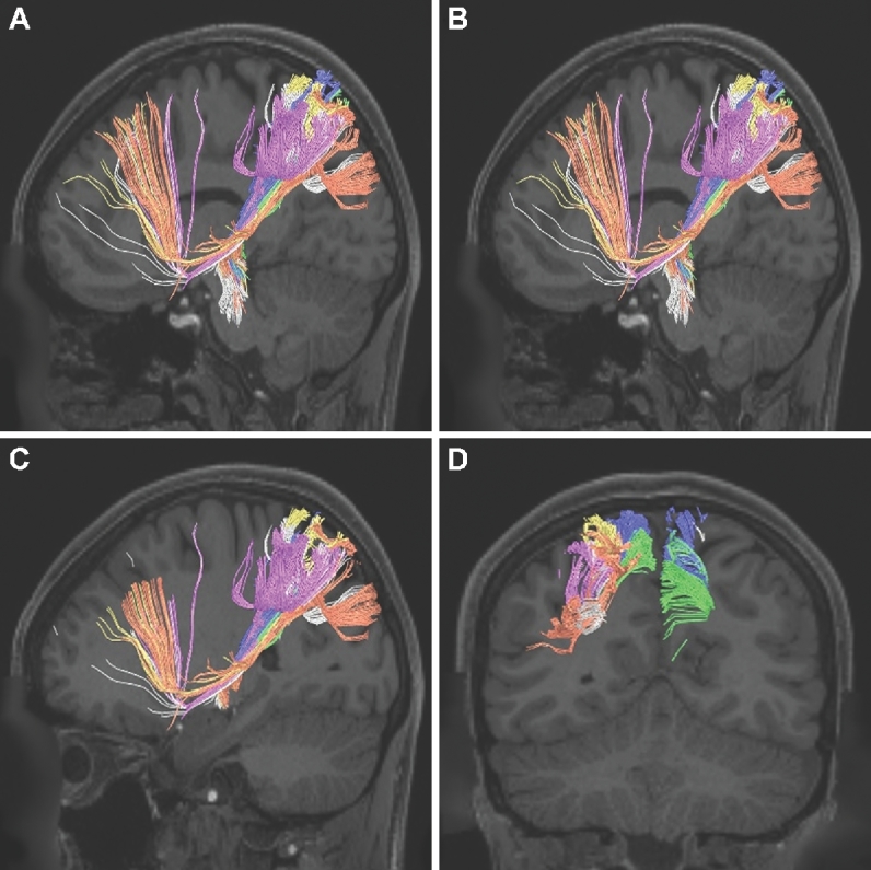 FIGURE 42.