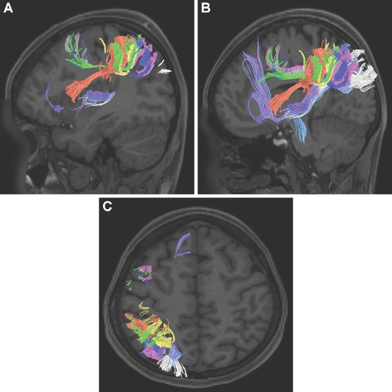 FIGURE 24.