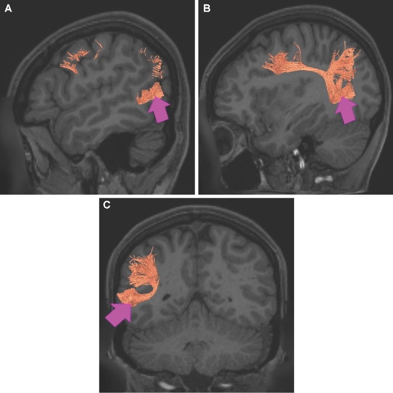 FIGURE 20.