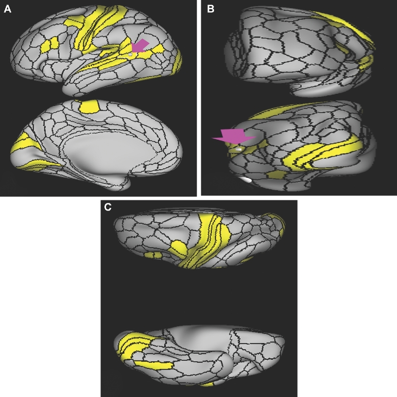 FIGURE 17.