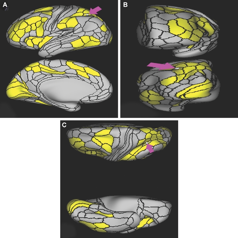 FIGURE 35.