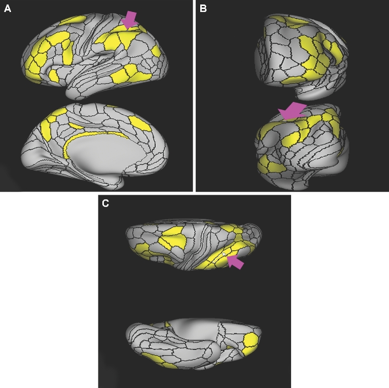 FIGURE 25.