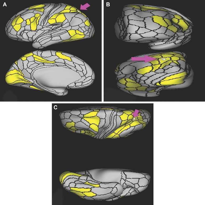 FIGURE 39.