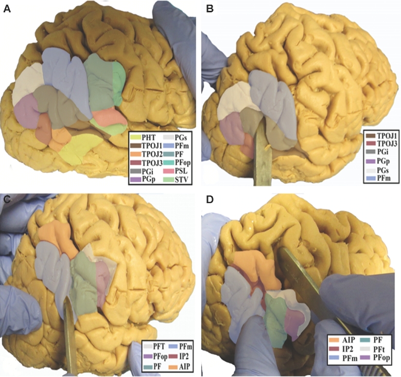 FIGURE 1.