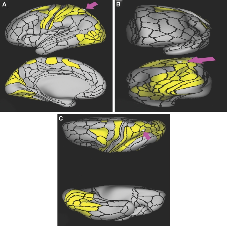 FIGURE 53.