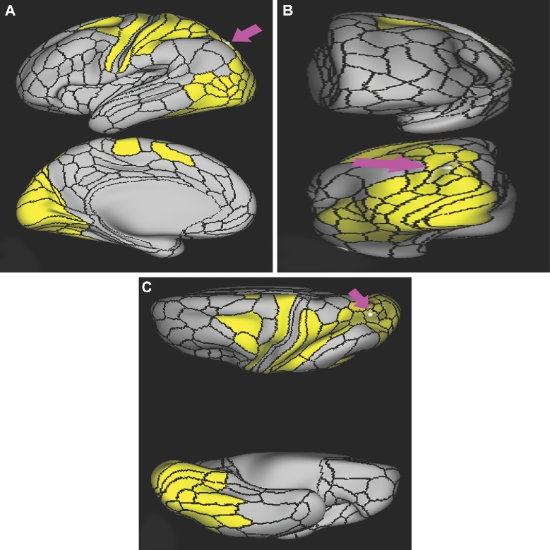 FIGURE 31.