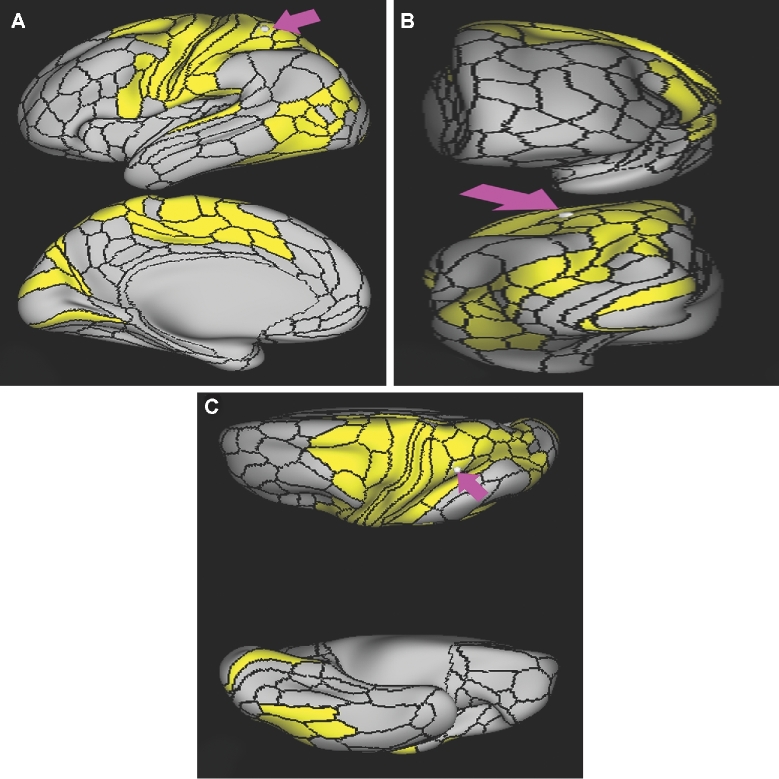 FIGURE 43.