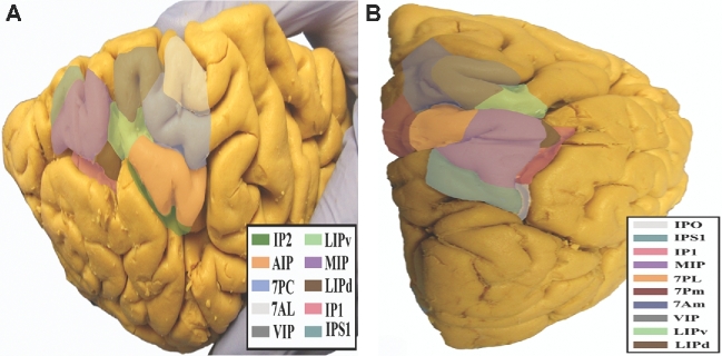 FIGURE 41.