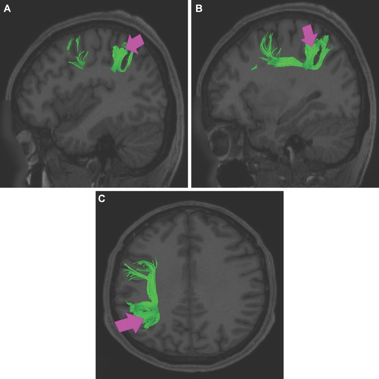 FIGURE 26.