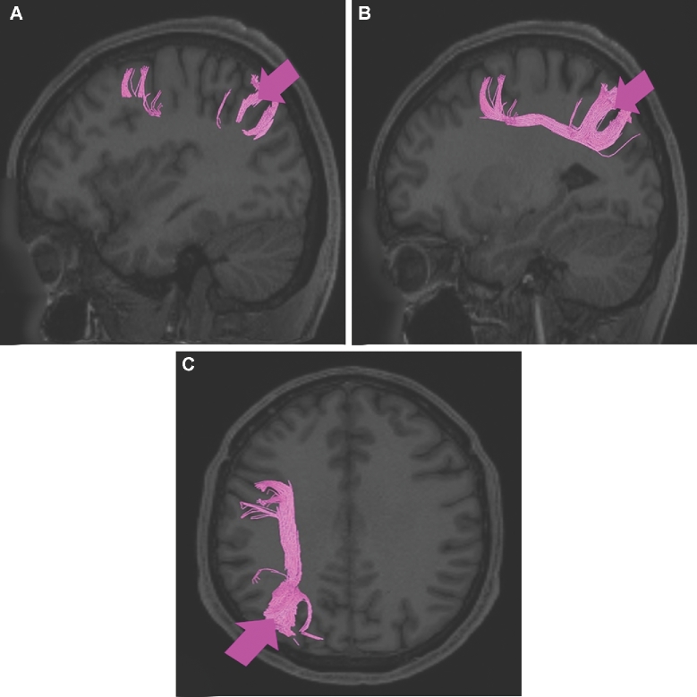 FIGURE 28.