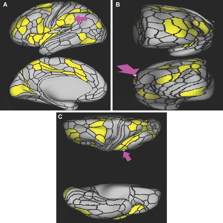 FIGURE 7.