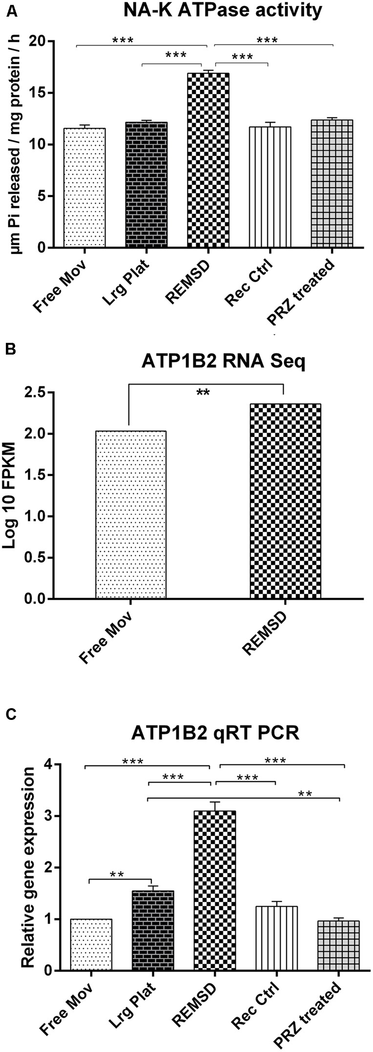 FIGURE 1