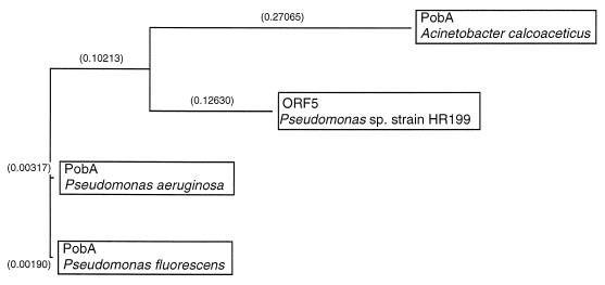 FIG. 6