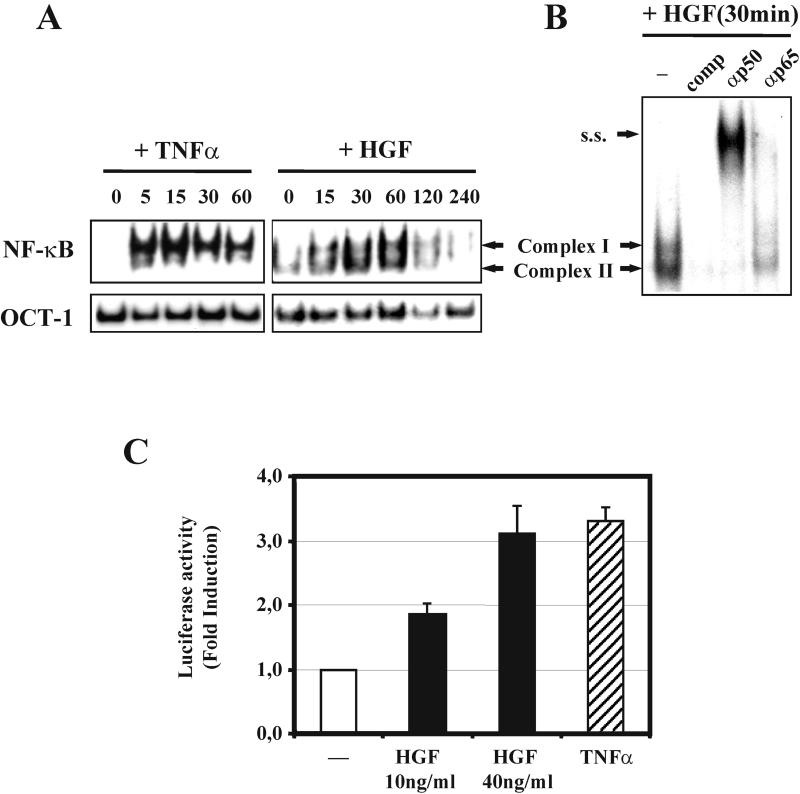 FIG. 1.