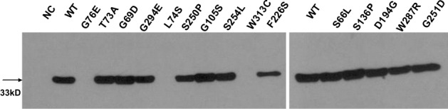 FIG 3 