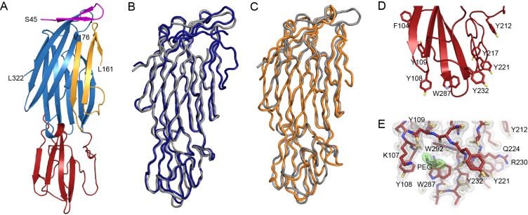 FIG 1 