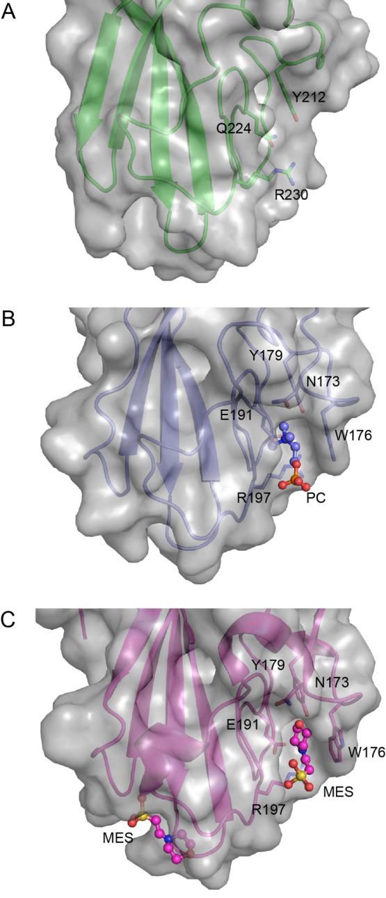 FIG 2 