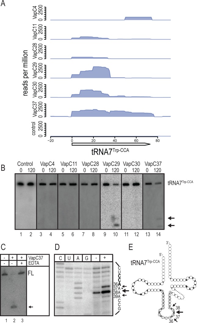 Figure 5.