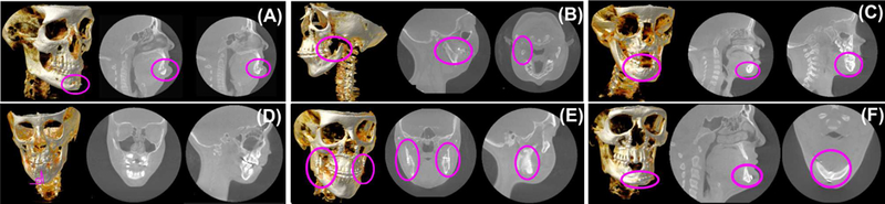 Fig. 2: