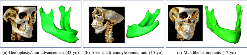 Fig. 9: