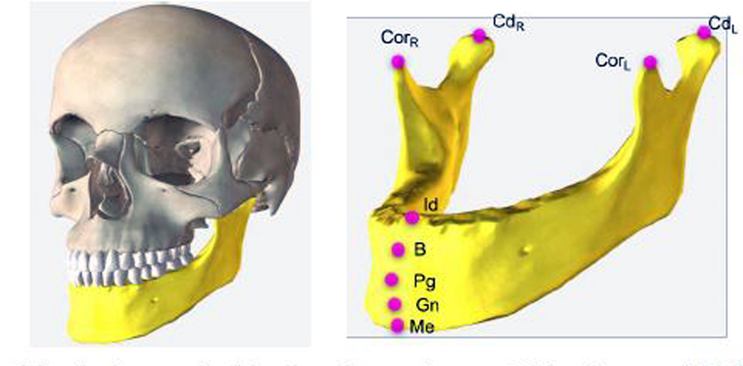 Fig. 1: