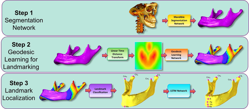 Fig. 3: