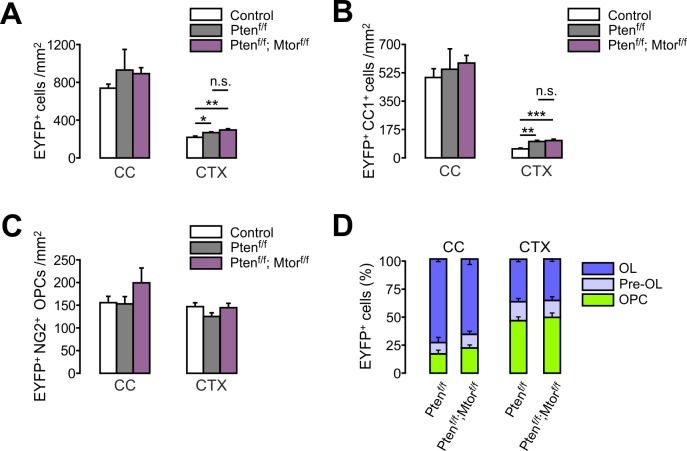 Figure 7—figure supplement 1.