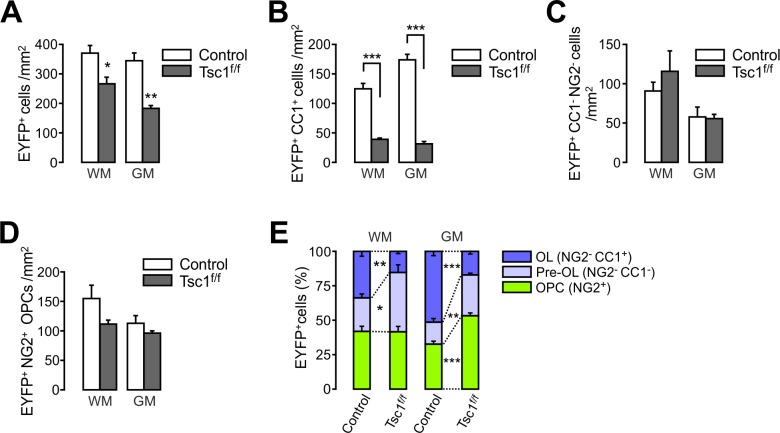 Figure 1—figure supplement 1.