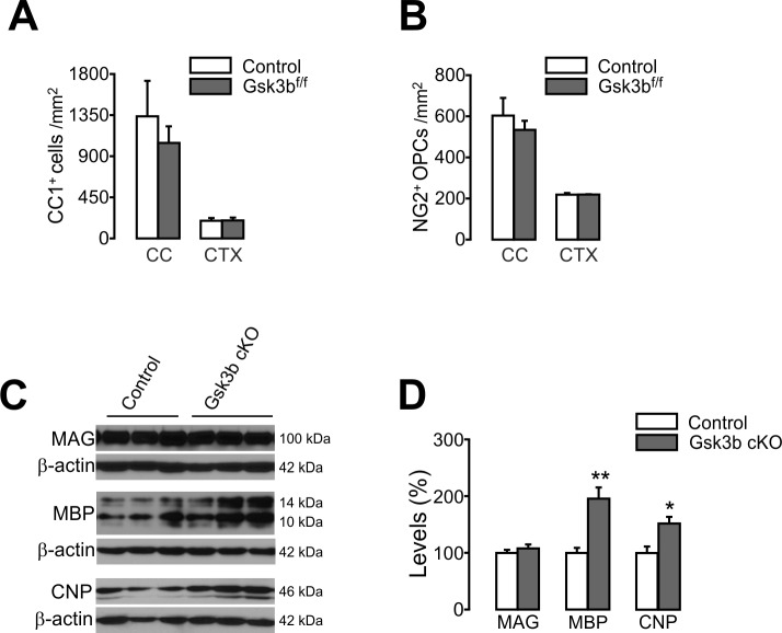 Figure 9—figure supplement 1.