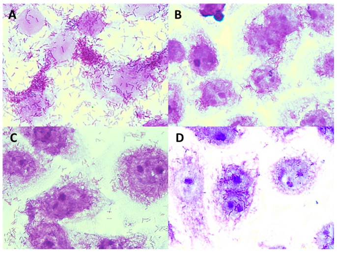 Figure 10