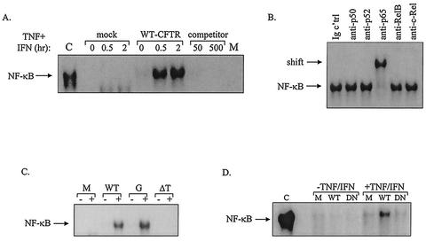 FIG. 9.