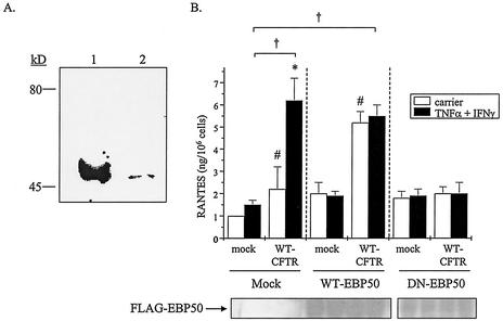 FIG. 8.