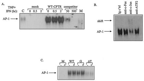 FIG. 11.