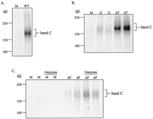 FIG. 6.