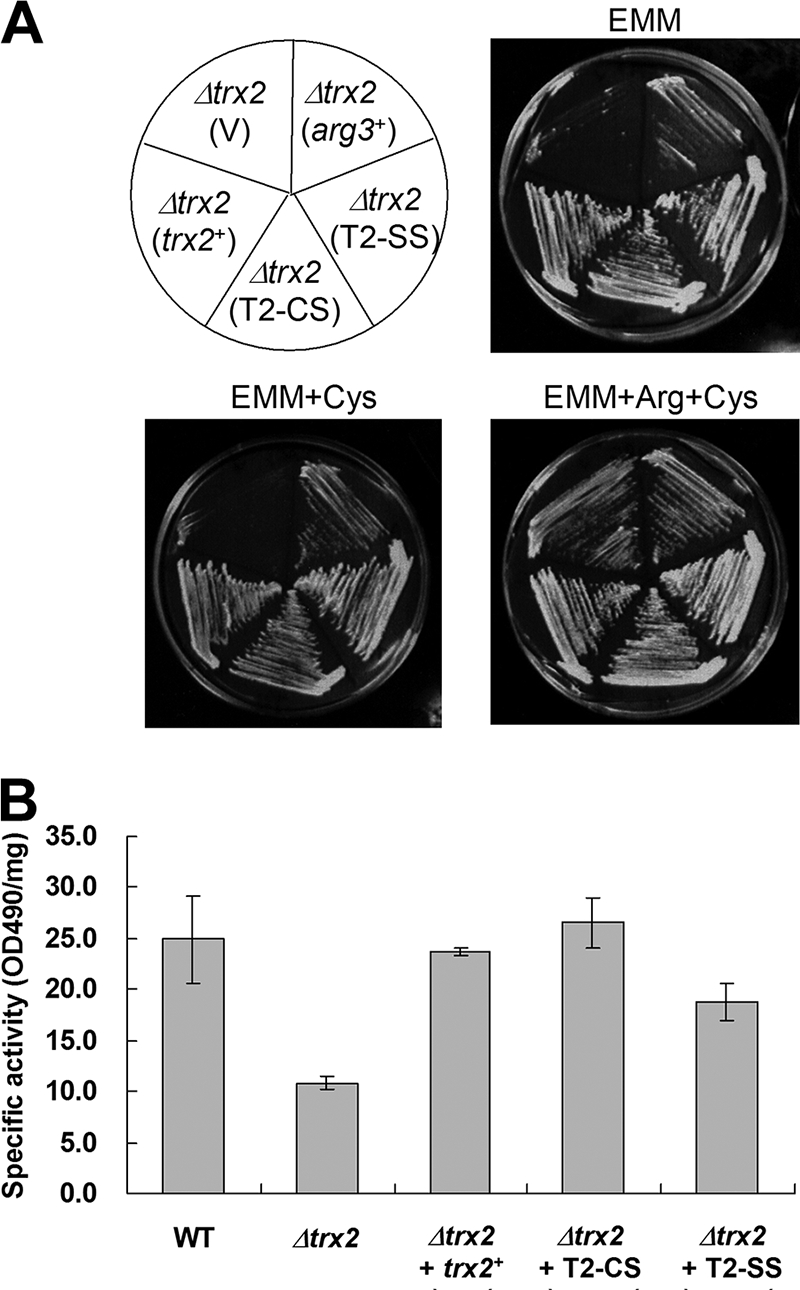 FIG. 4.